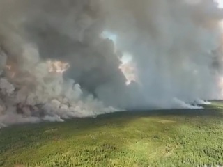 Власти Рязанской области: причиной природных пожаров стала сухая гроза