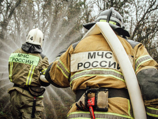 Площадь лесных пожаров в Рязанской области сократилась