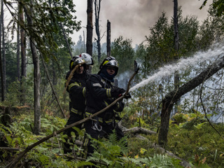 Ситуация непростая: погода мешает тушить пожары в Рязанской области