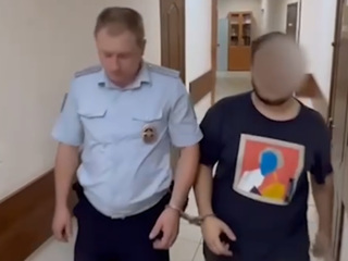 В Подмосковье арестовали компанию, избившую полицейских на пожаре