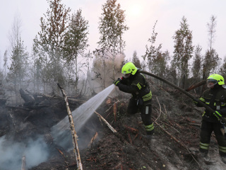 Главы МЧС и Курганской области доложили по ситуации с пожарами