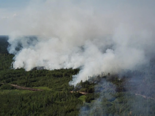Битва за лес: самые драматичные кадры борьбы с огнем