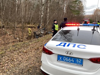 Четыре человека погибли в перевернувшейся легковушке в Рязанской области