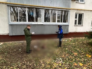 Силовики оперативно вычислили расчленителя, убившего москвичку