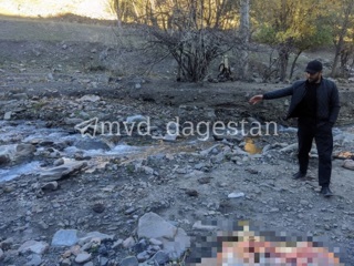 В Дагестане разделка коровьей туши закончилась поножовщиной