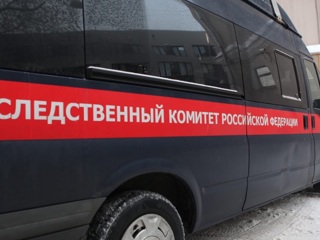 Под Петербургом подростки избили учительницу начальных классов