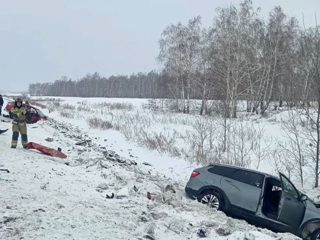 Два человека погибли в массовом ДТП под Челябинском