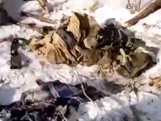 Тигра заподозрили в убийстве охотника в Хабаровском крае