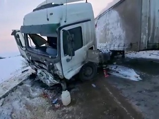Четверо детей и их мама погибли в огненном ДТП в Мордовии