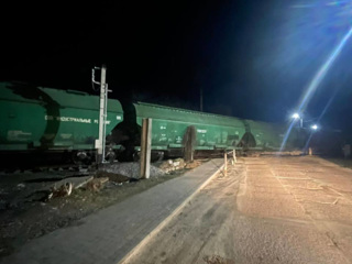 Поезд с грузовыми вагонами сошел с рельсов под Киевом