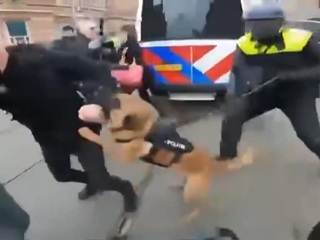 Полиция в Гааге разогнала протестующих бойцовыми собаками