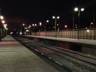 В Москве из-за падения человека на рельсы остановили поезда