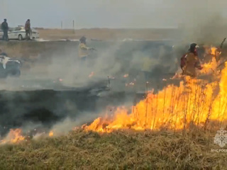 По факту пожаров в Курганской области возбудят уголовное дело
