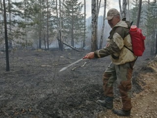 Лесной пожар в заповеднике "Бастак" в ЕАО ликвидирован