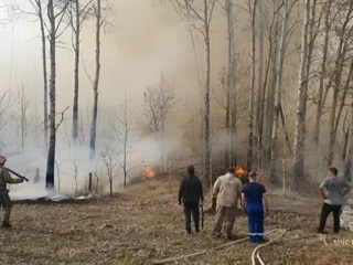 Лесные пожары могут охватить три сибирских региона