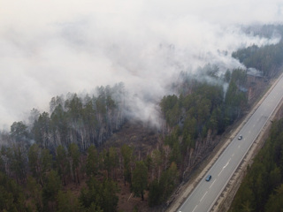 В Свердловской области огнем охвачено 20 тысяч гектаров лесной зоны