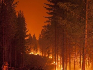 Режим ЧС введен в Омской области из-за лесных пожаров