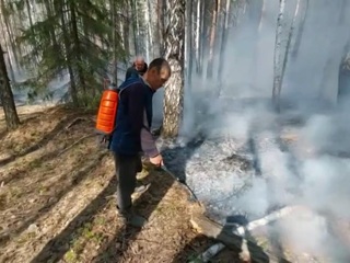 Синоптик назвал регионы России с наивысшим классом пожарной опасности