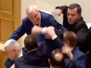 Горячие грузинские парламентарии подрались на заседании