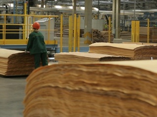 Экспорт продукции ЛПК Томской области может снизиться на четверть