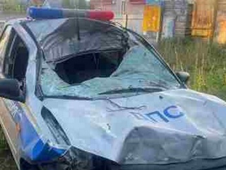 Машина ДПС столкнулась с лосем по пути в Ижевск
