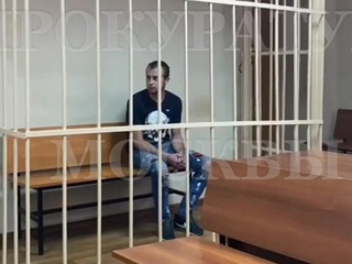 Сбившего ребенка на юге Москвы водителя каршеринга отправили в СИЗО