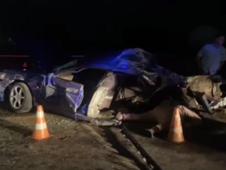 В Нижегородской области два человека погибли в ДТП с автобусом
