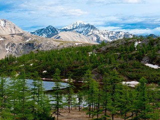 Воссоздание лесов: в Якутии создадут лесопитомник на 10 млн сеянцев