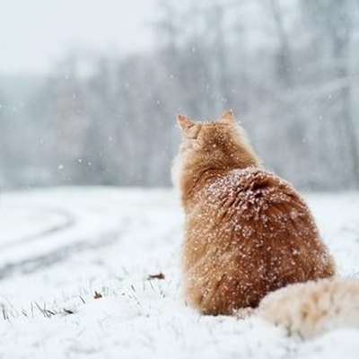 15% февральской нормы осадков выпало в Москве за ночь с субботу на воскресенье 15% февральской нормы осадков выпало в Москве за ночь с субботу на воскресенье