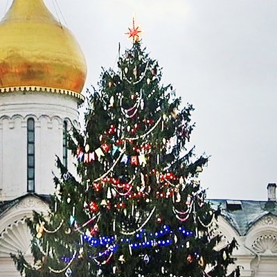 Главную новогоднюю елку России вечером доставили в Кремль Главную новогоднюю елку России вечером доставили в Кремль