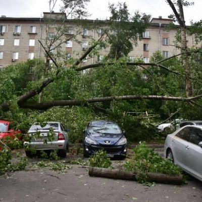 Последствия урагана в Барнауле планируется устранить к концу недели Последствия урагана в Барнауле планируется устранить к концу недели
