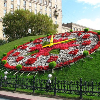 Почти 50 миллионов цветов высадят на улицах Москвы Почти 50 миллионов цветов высадят на улицах Москвы