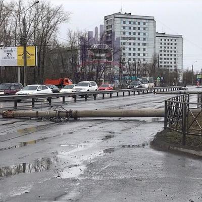 Красноярцы обсуждают последствия шквалистого ветра Красноярцы обсуждают последствия шквалистого ветра