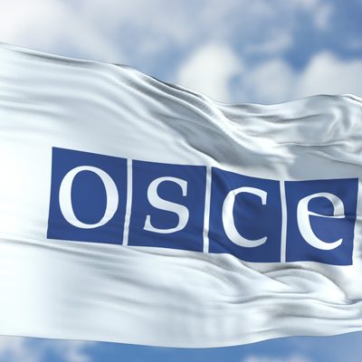 Миссия ОБСЕ подтвердила завершение процесса отвода войск в районе Петровского Миссия ОБСЕ подтвердила завершение процесса отвода войск в районе Петровского