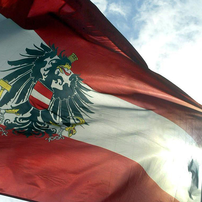 Правительство Австрии может занять глава МВД Карл Нехаммер