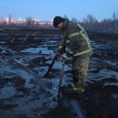 Наиболее вероятная причина возникновения пожара в торфяниках в Екатеринбурге – поджог