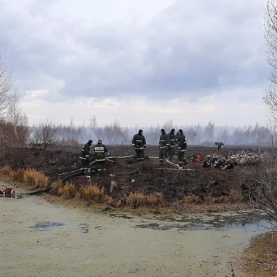 В микрорайоне Екатеринбурга, где тлеют торфяники, выявили превышение вредных веществ