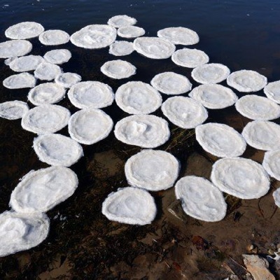 Жителей Биробиджана испугали необычные круглые льдины