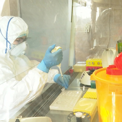 Пандемия коронавируса в планетарном масштабе может завершиться уже в этом году