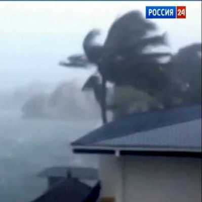Жертвами тайфуна Жертвами тайфуна