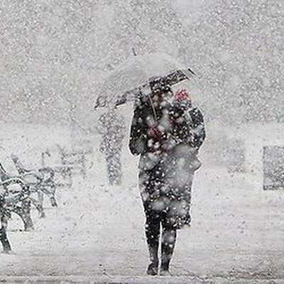 Власти Магадана ввели режим Чрезвычайной ситуации из-за большого количества снега и неубранного мусора Власти Магадана ввели режим Чрезвычайной ситуации из-за большого количества снега и неубранного мусора