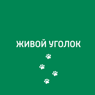 Живой уголок Живой уголок