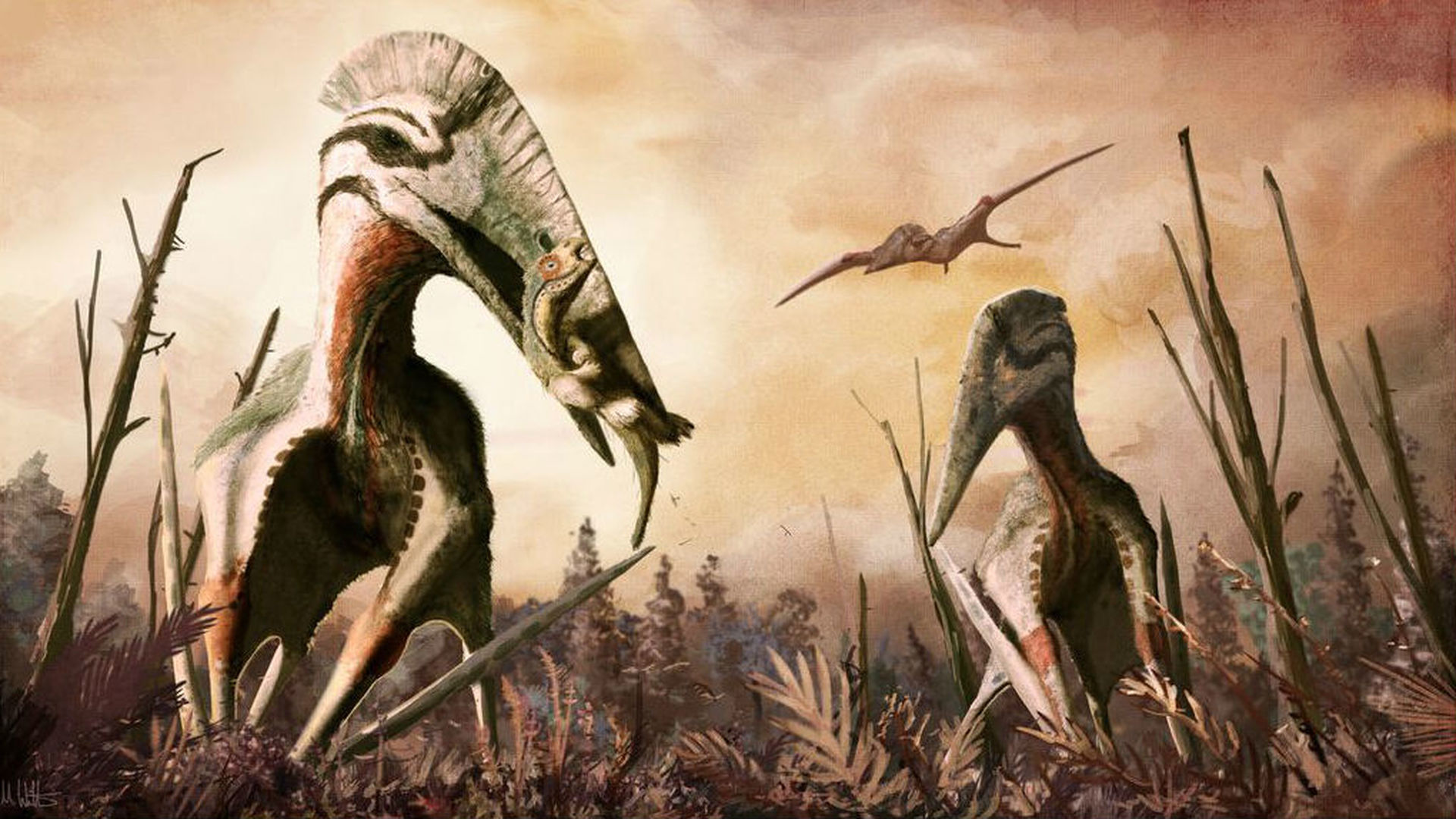 Тамми И Динозавр – Эротические Сцены