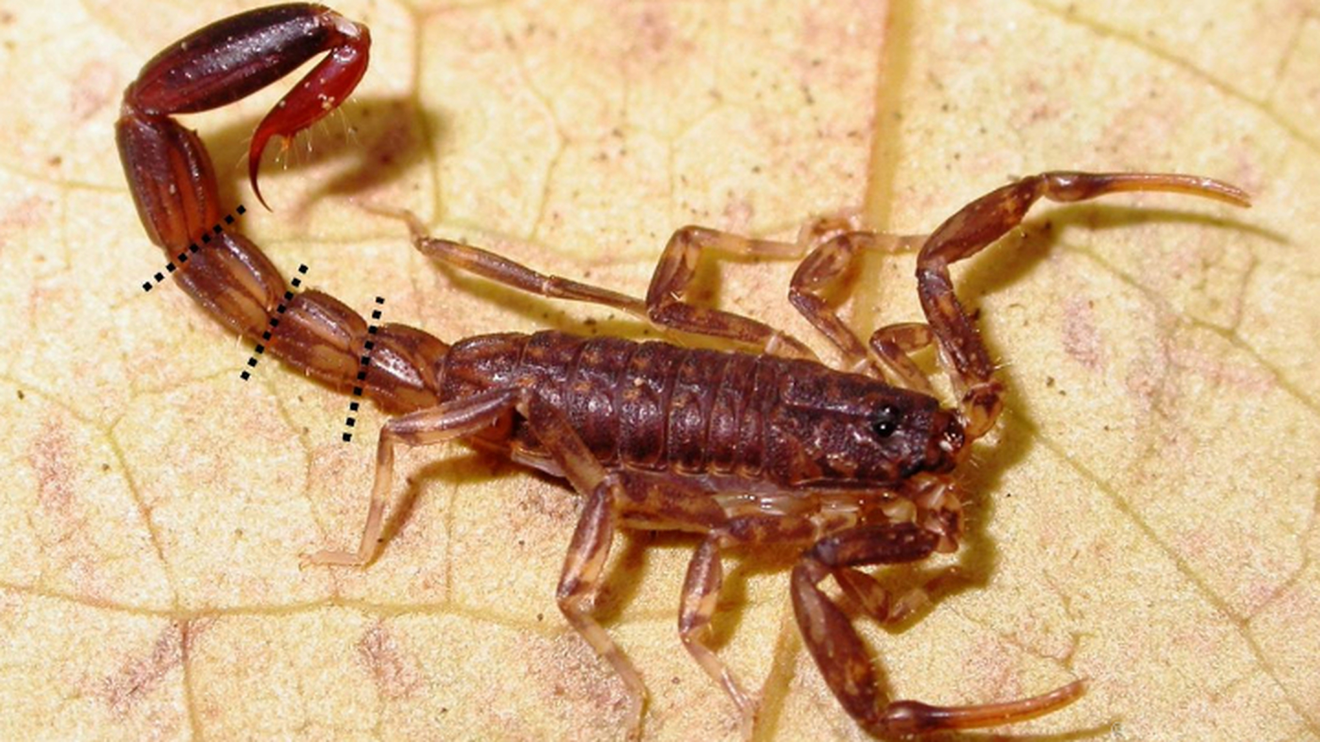 ������� ����� ��� ��� ��� ���� ��������� ���������� ����