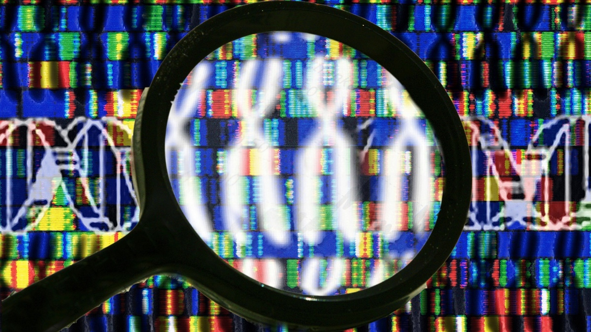При расшифровке генома мыши. Проект геном человека. Международный проект геном человека. Человека" ("Human Genome Project") .. Проект «геном человека» фото.