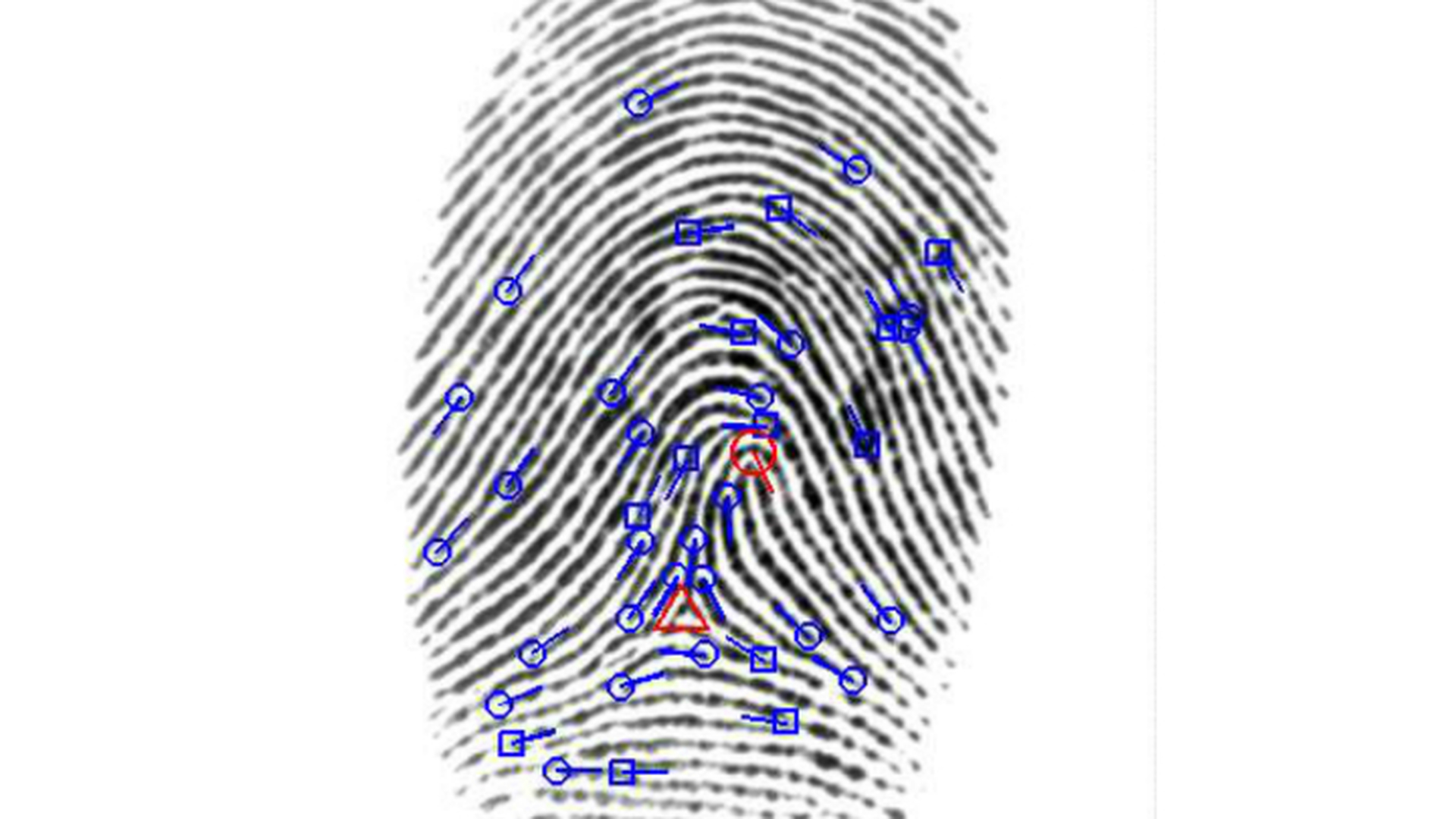 Карта отпечатков пальцев