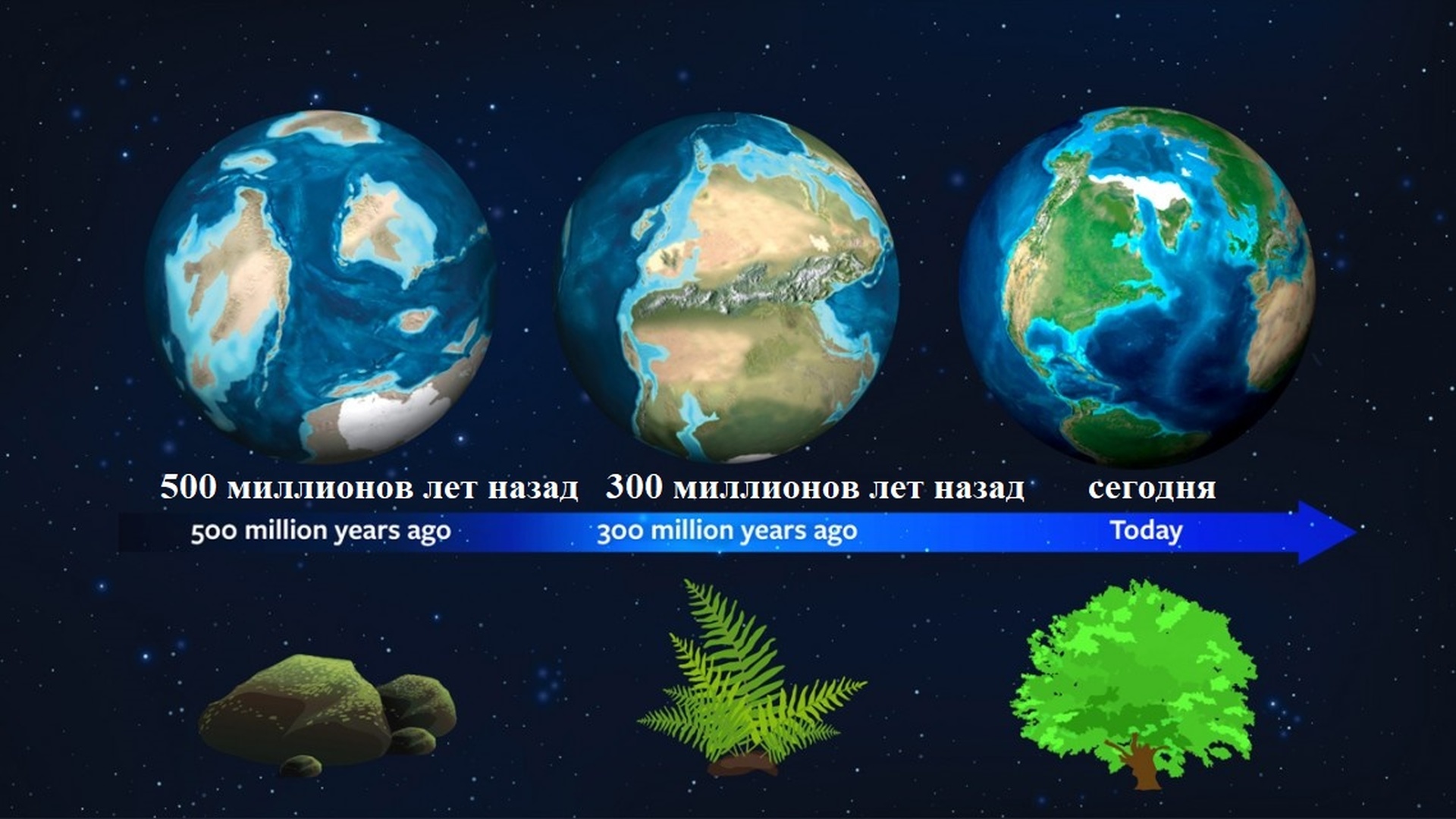Земля много миллионов лет назад