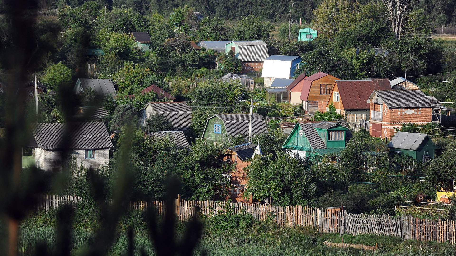 Амнистия вступил силу. СНТ. Садовый кооператив. Садоводческие огороднические и дачные. Дачная амнистия.