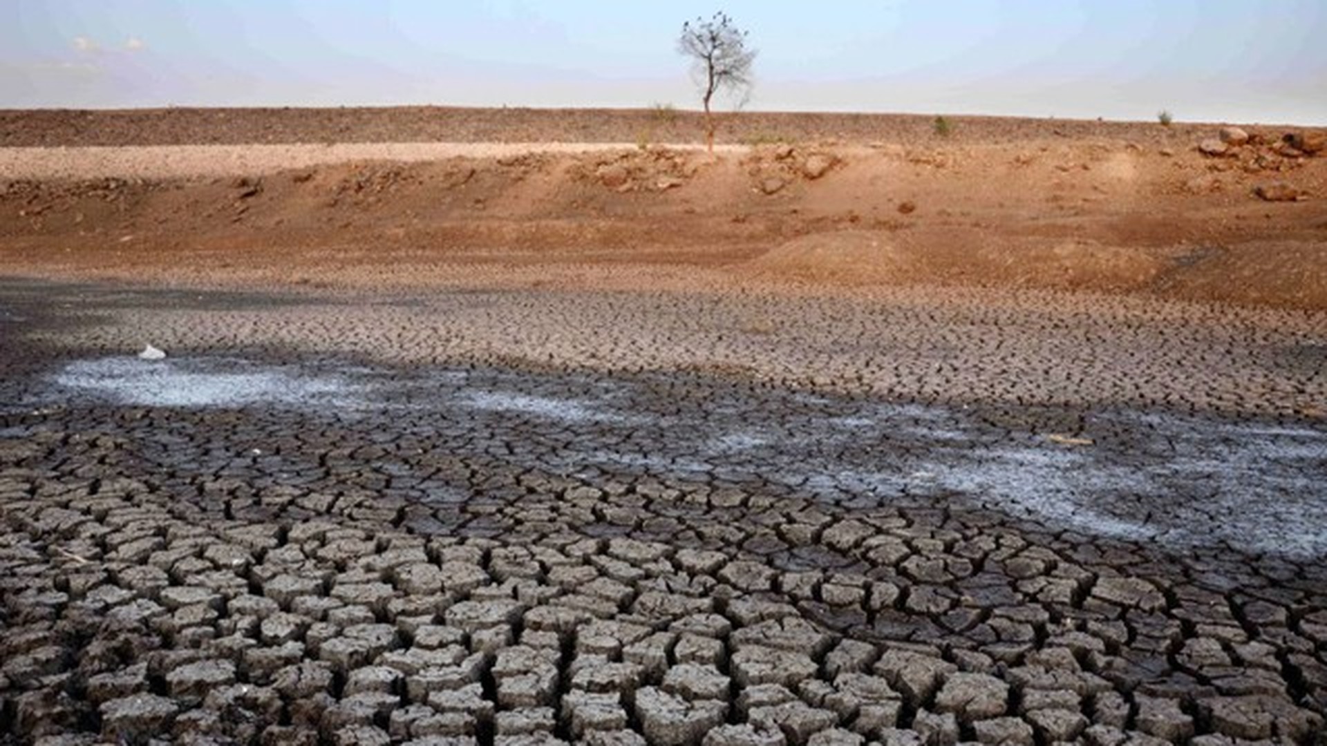 Обезводили в засуху. Эрозия почв, засоление, заболачивание, опустынивание.. Эрозия почв засоление почв. Деградация почв, эрозия, опустынивание. Эрозия засоление и заболачивание почв это.