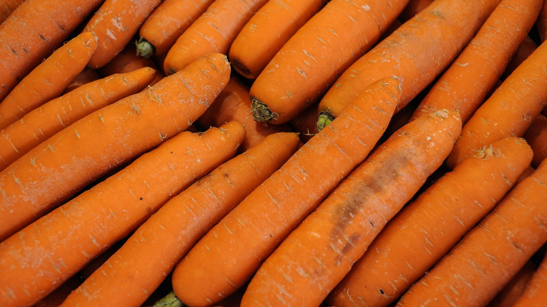 К чему снится морковь свежая. Морковь импортная. Аппетитная морковь. Морковка из дерева. Морковка гигант.
